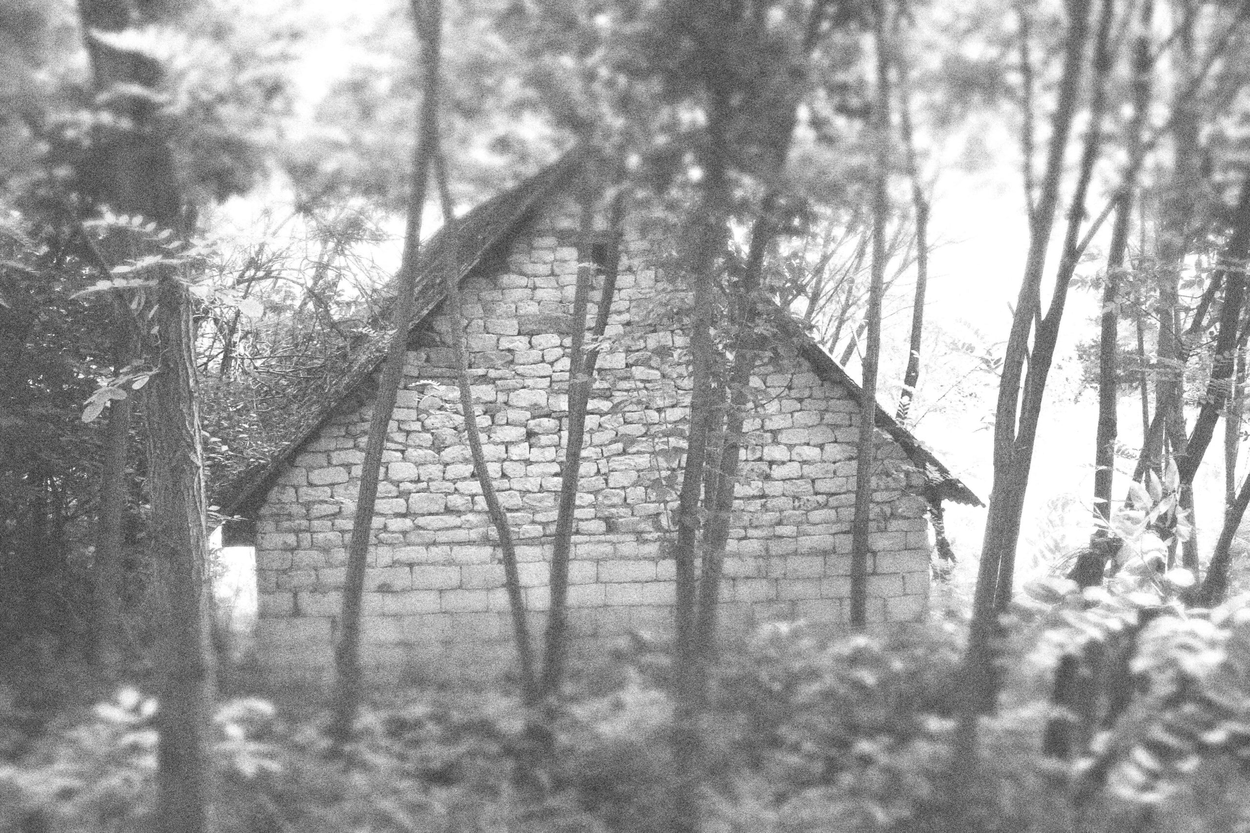 dsc_4097-min_optimized-min