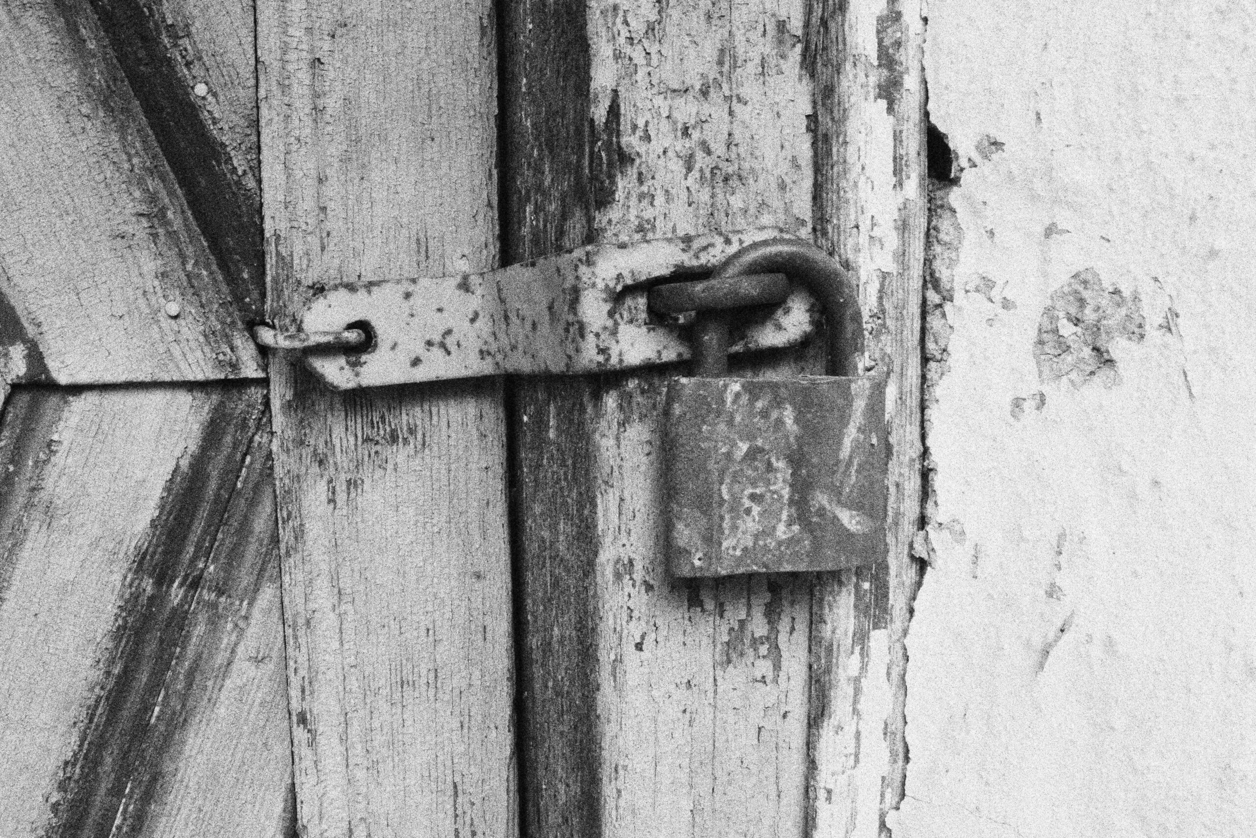 dsc_4145-min_optimized-min