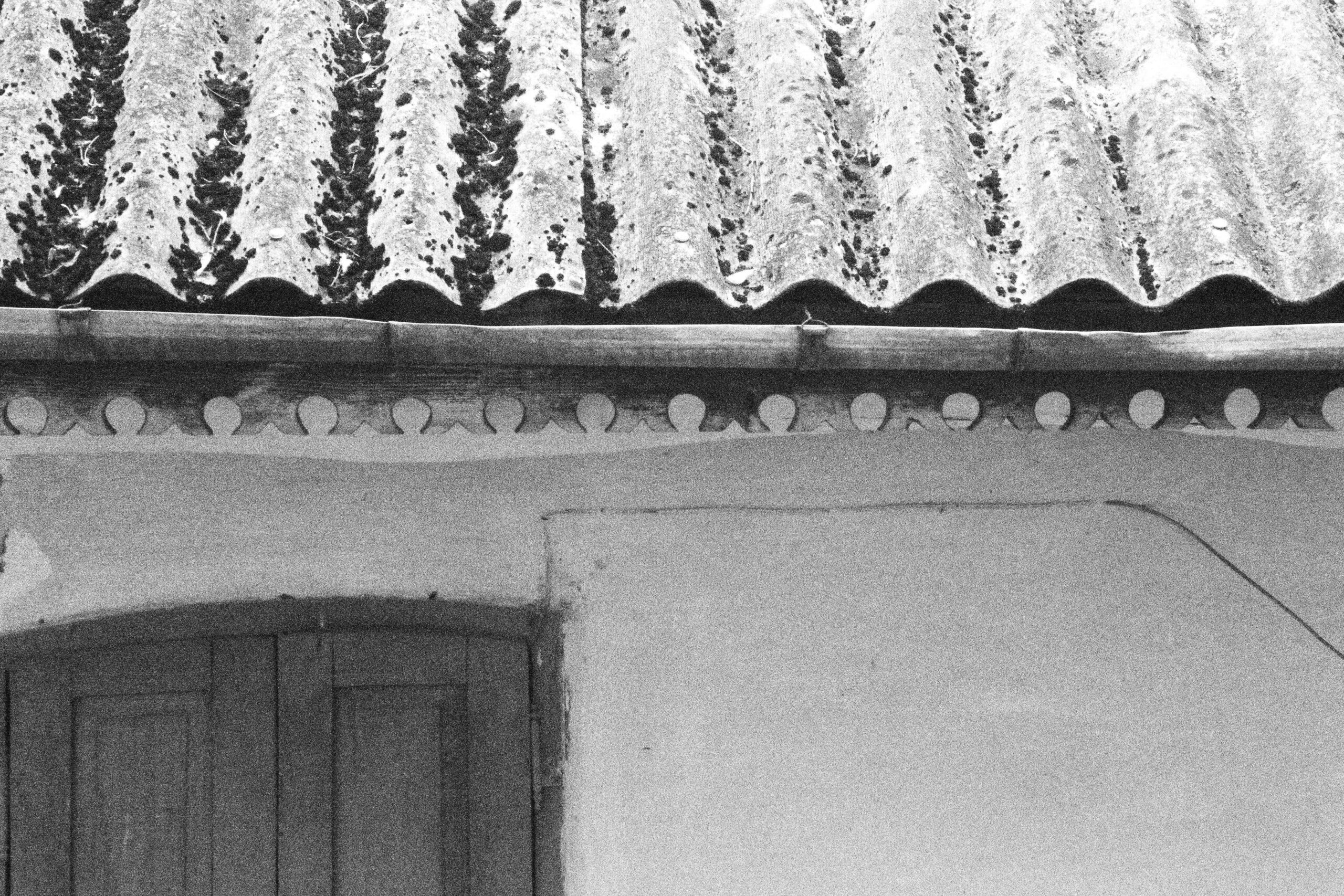 dsc_4160-min_optimized-min