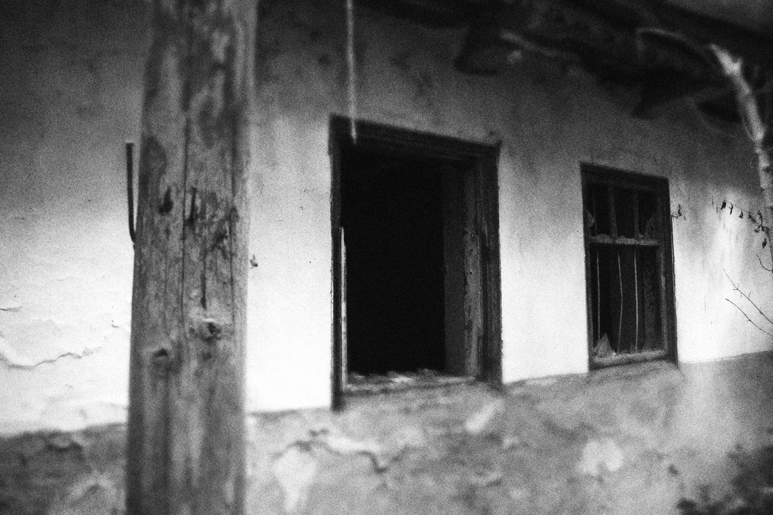 dsc_4214-min_optimized-min