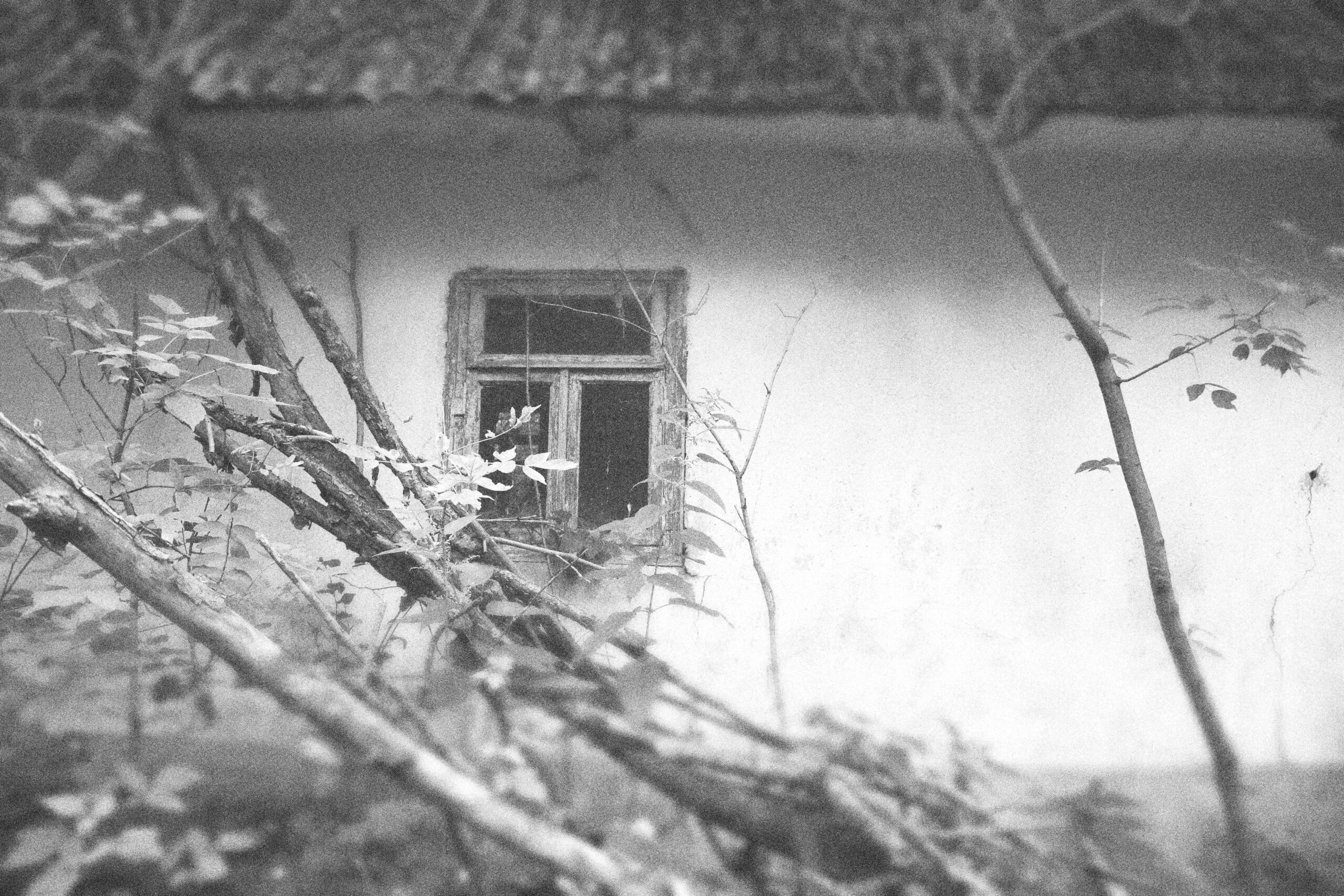 dsc_4242-min_optimized-min