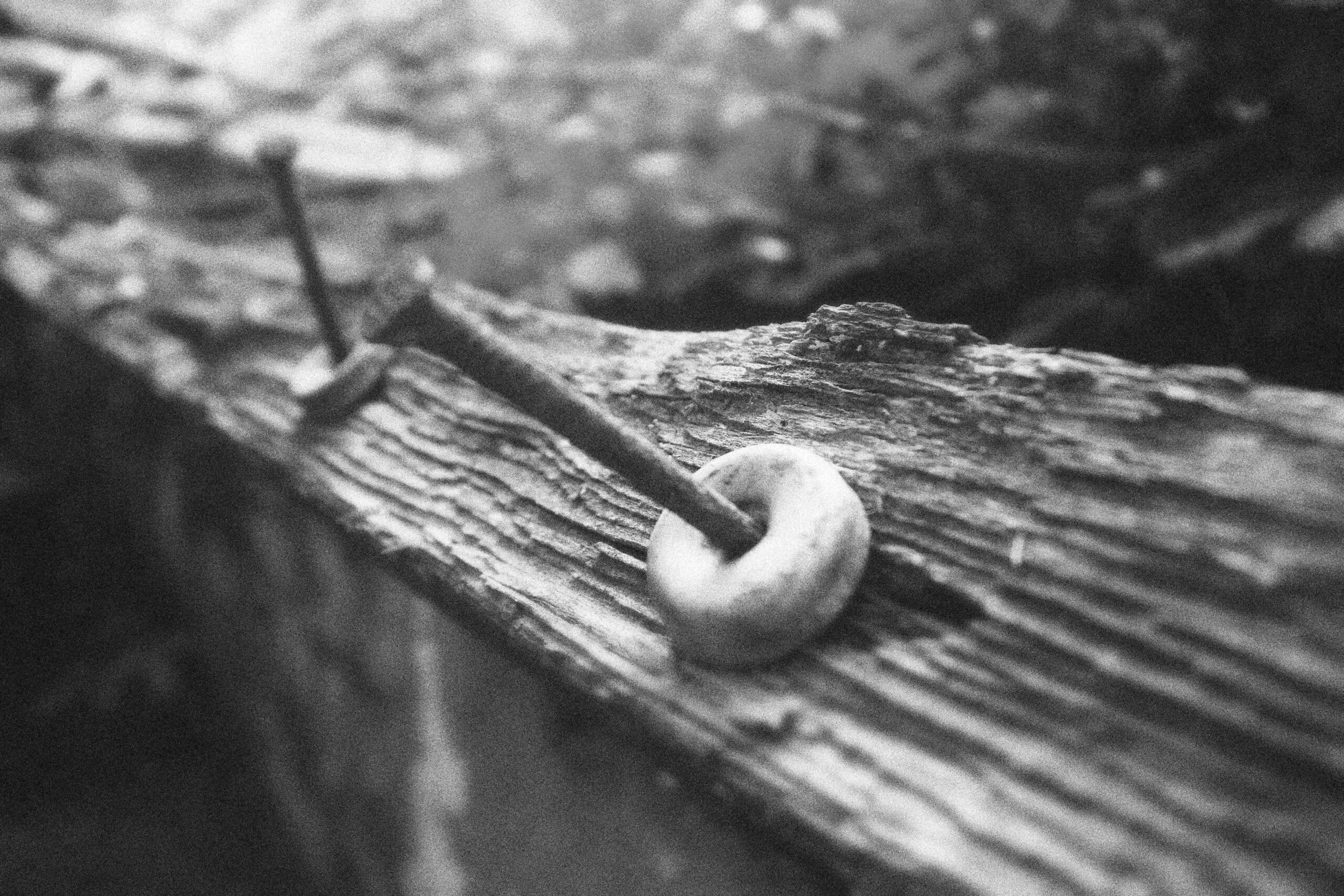 dsc_7607-min_optimized-min-min